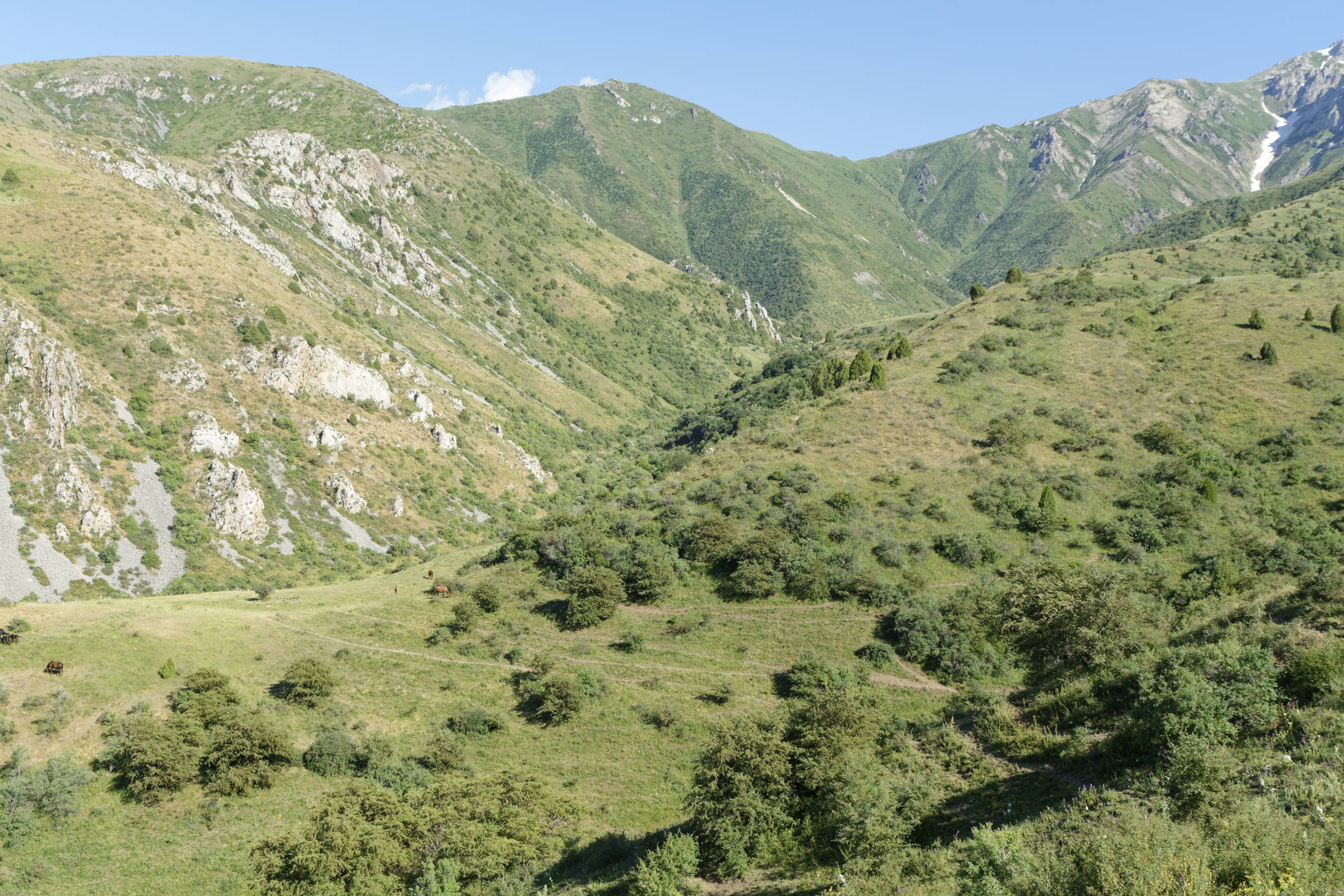 Montagnes Aksou Jabagly 