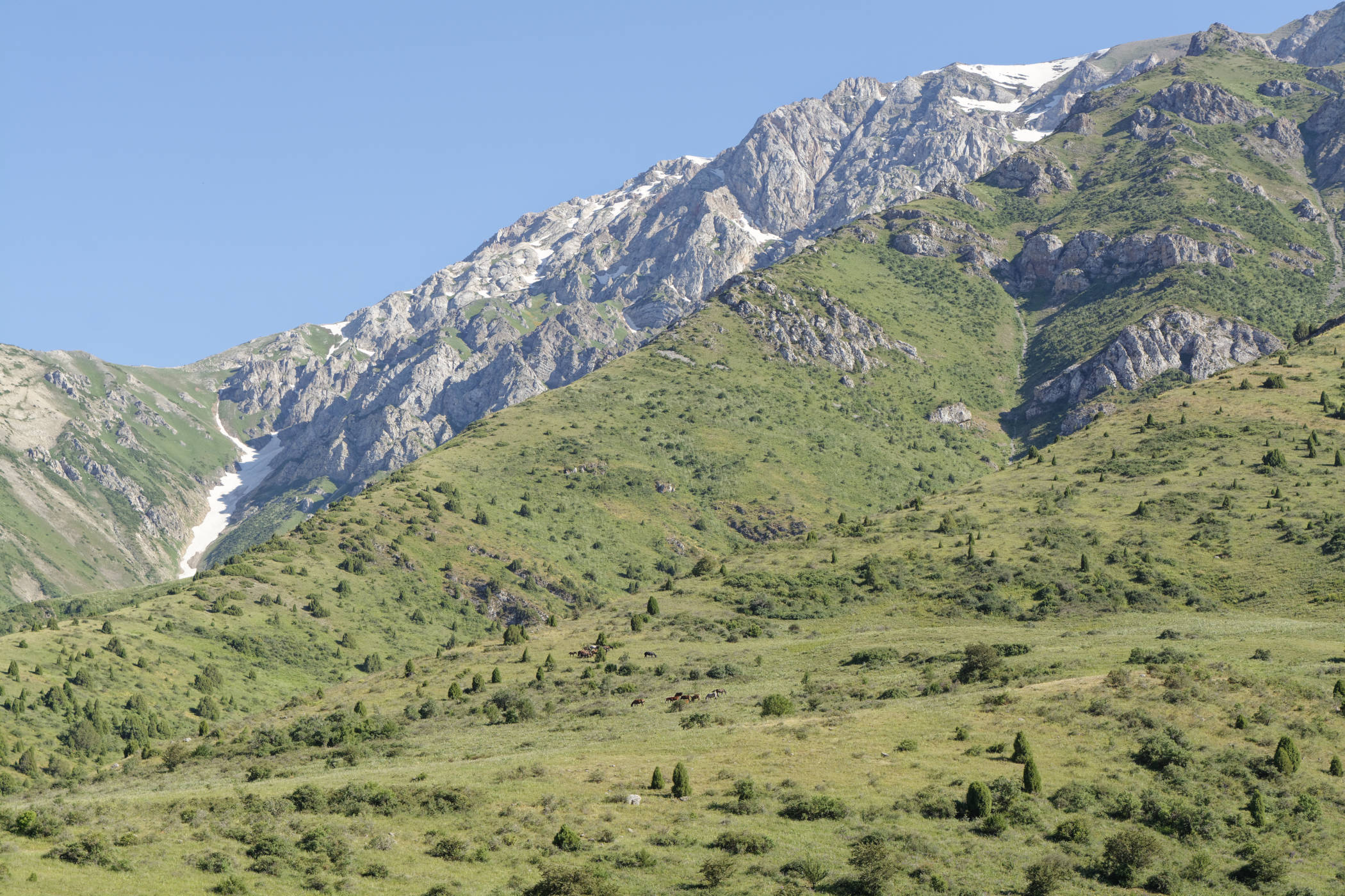 Montagnes Aksou Jabagly 