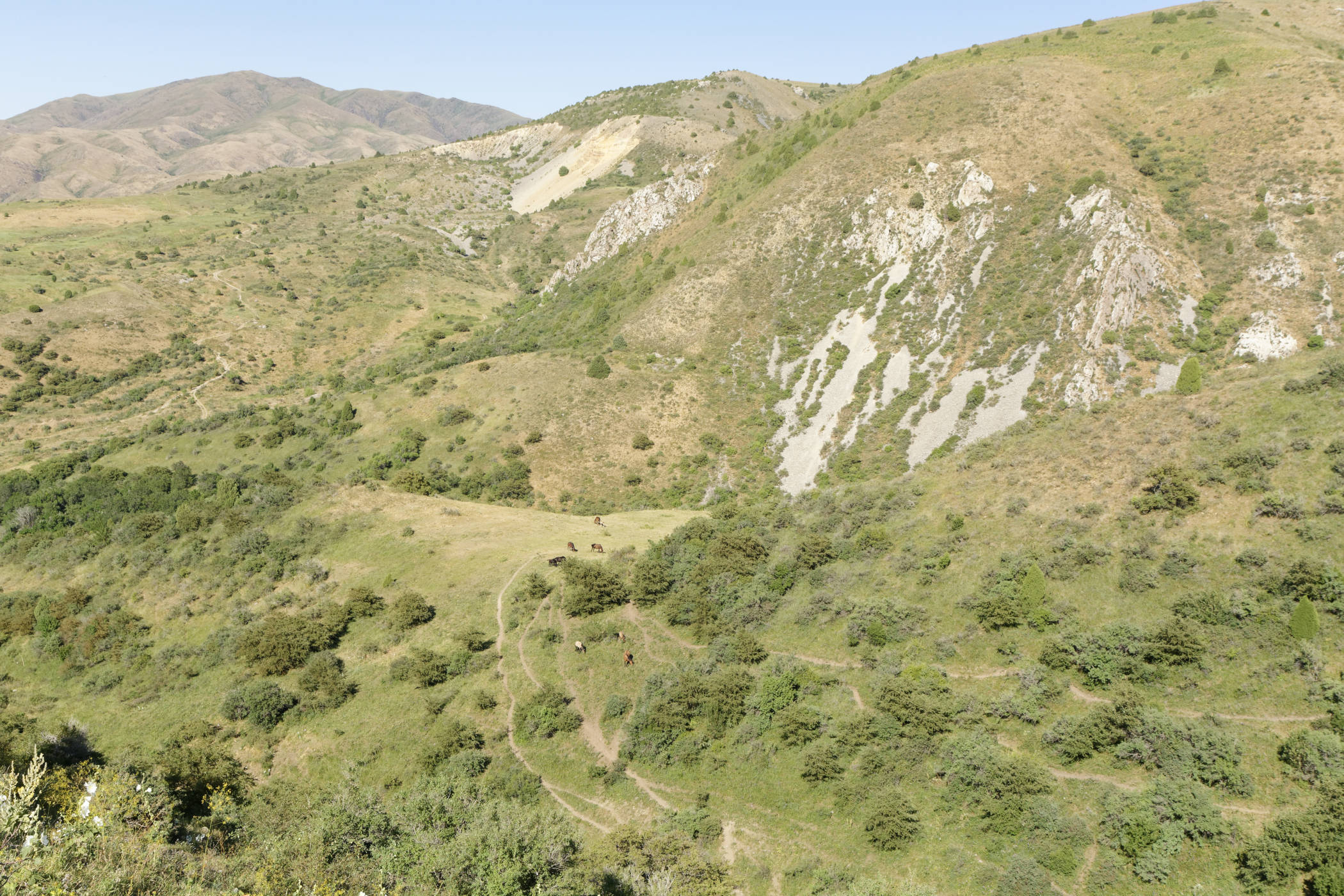 Montagnes d'Aksu Jabagly