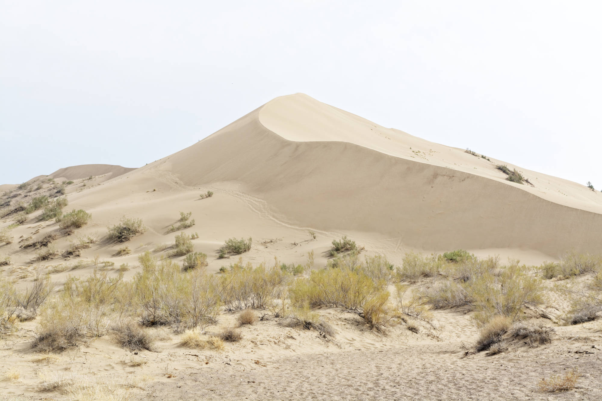 Singing Dune Altyn Emel Kazakhstan