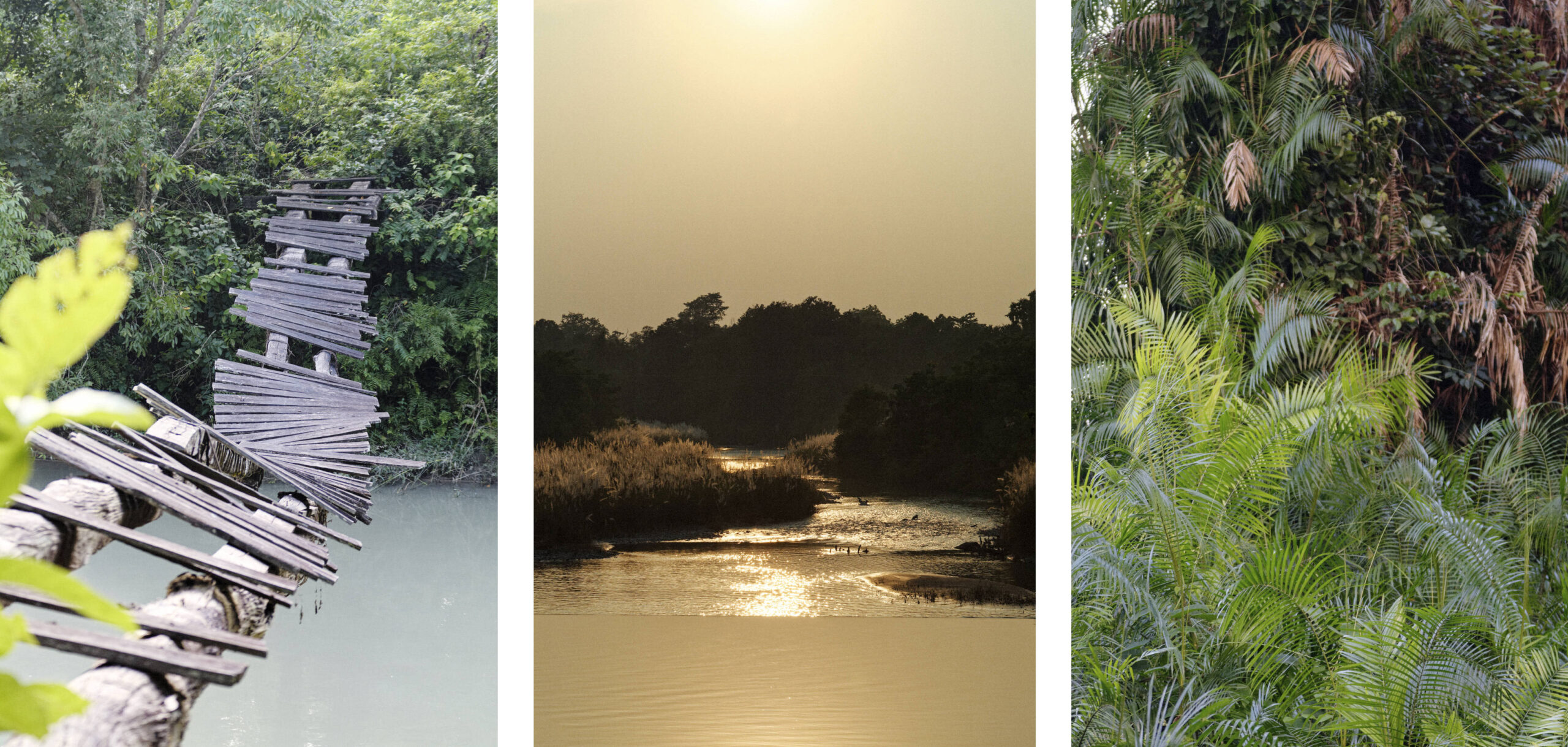 Parc de Bardia Népal