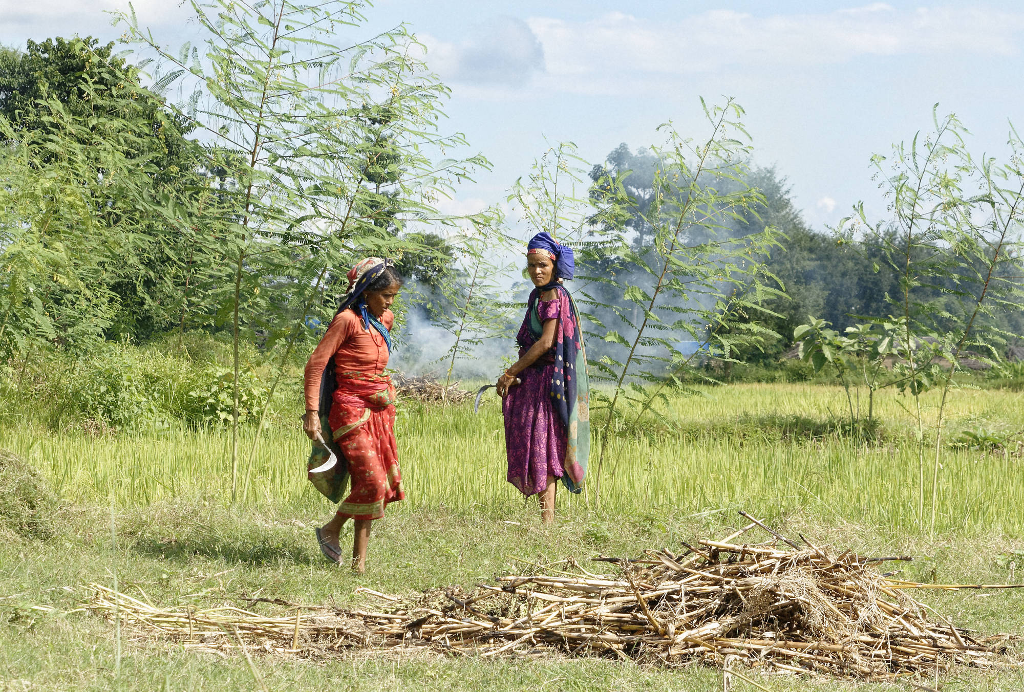 Femmes tharus Bardia Népal