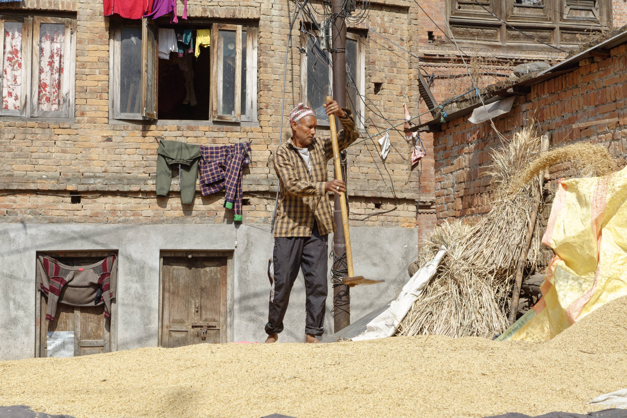 Saison des moissons Bhaktapur