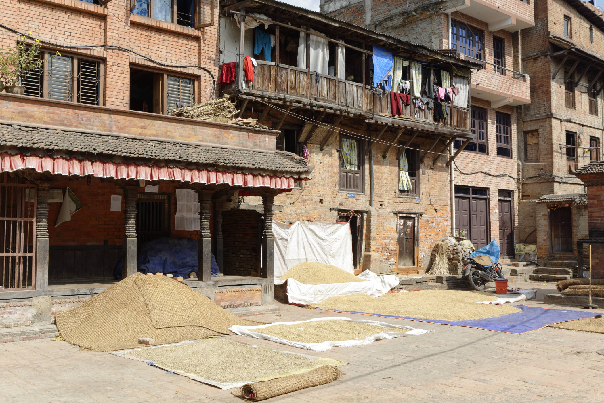Récoltes Bhaktapur