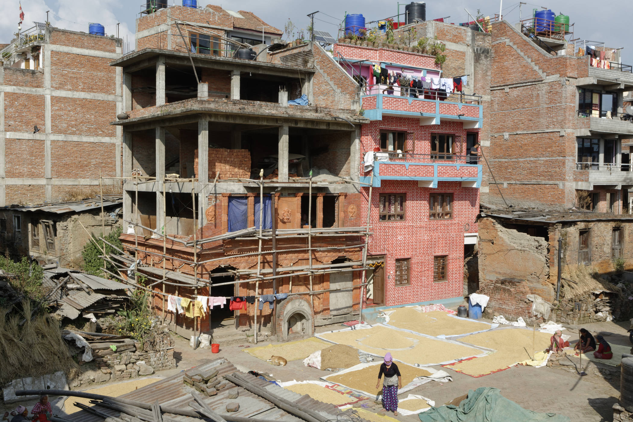Saison des moissons Bhaktapur