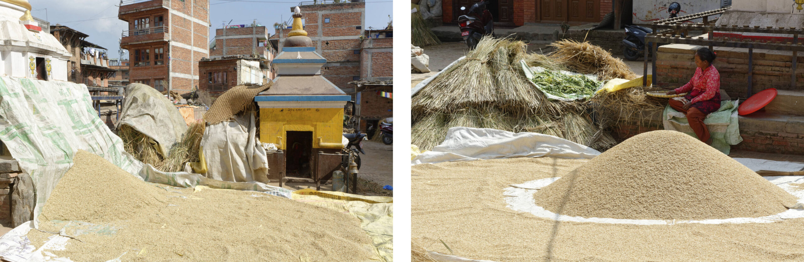 Riz mis à sécher sur les places de Bhaktapur