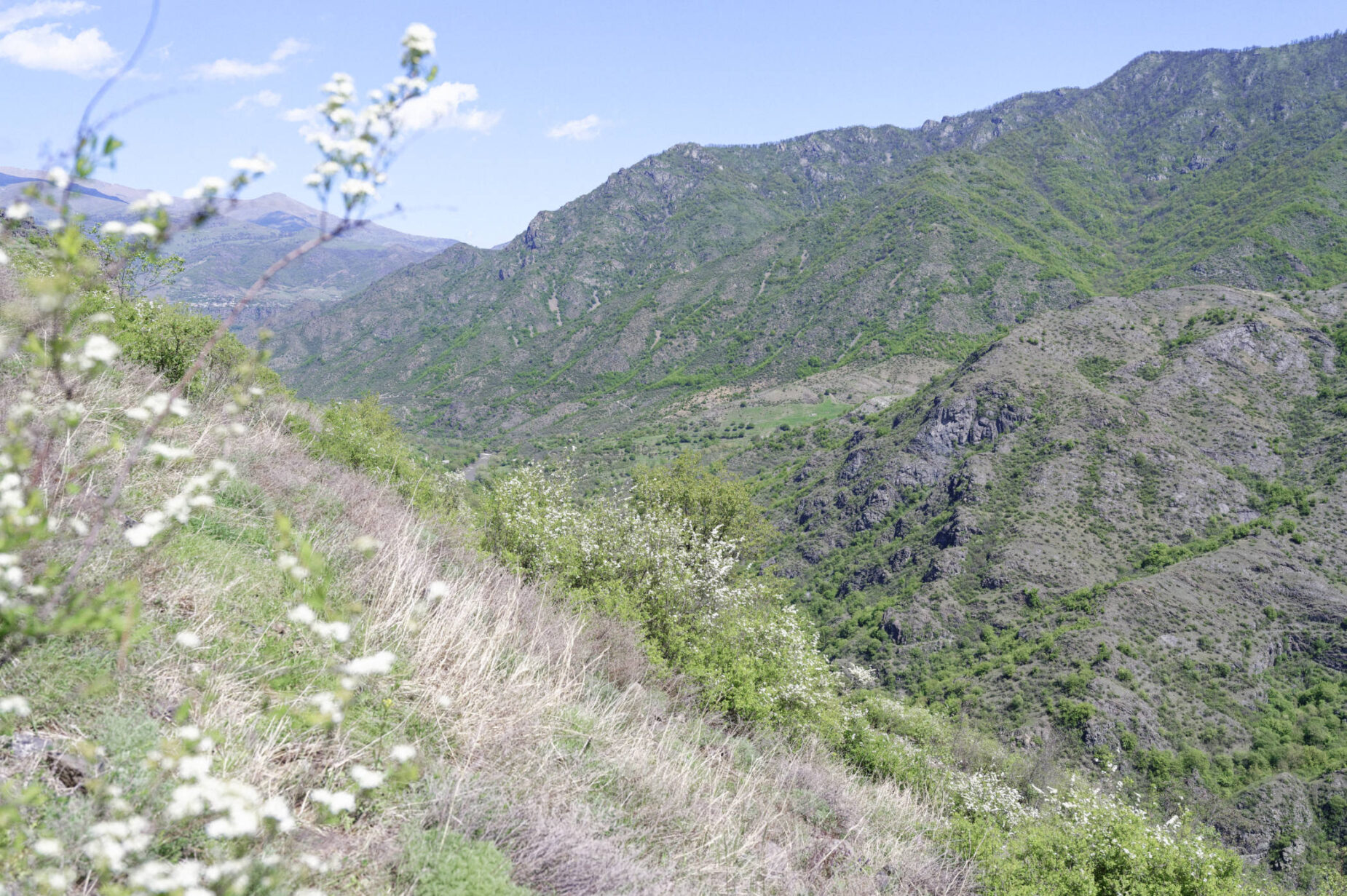 Vue sur les gorges de la Debed en Arménie