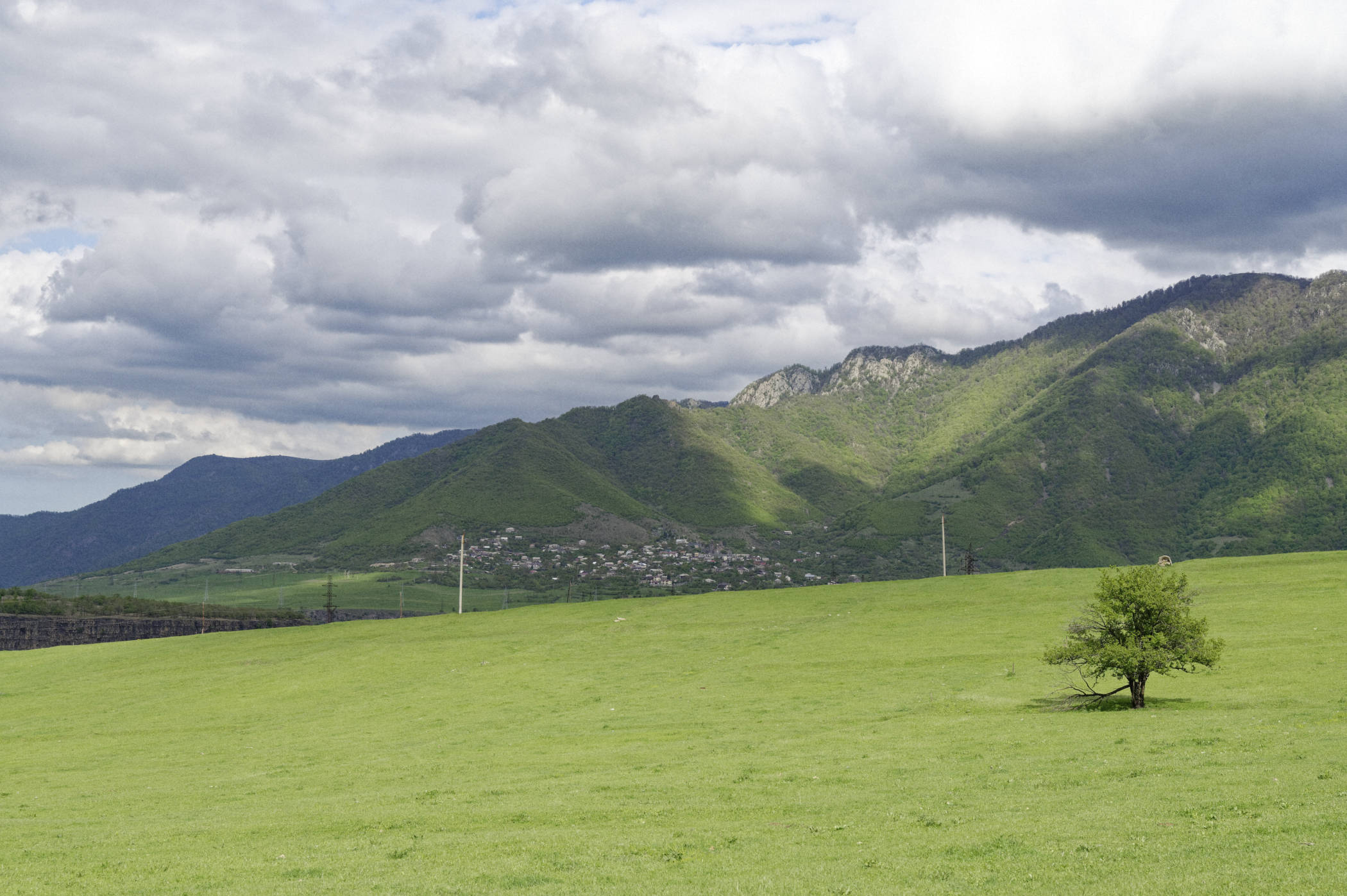 Région de Lori en Arménie : arbre et montagnes