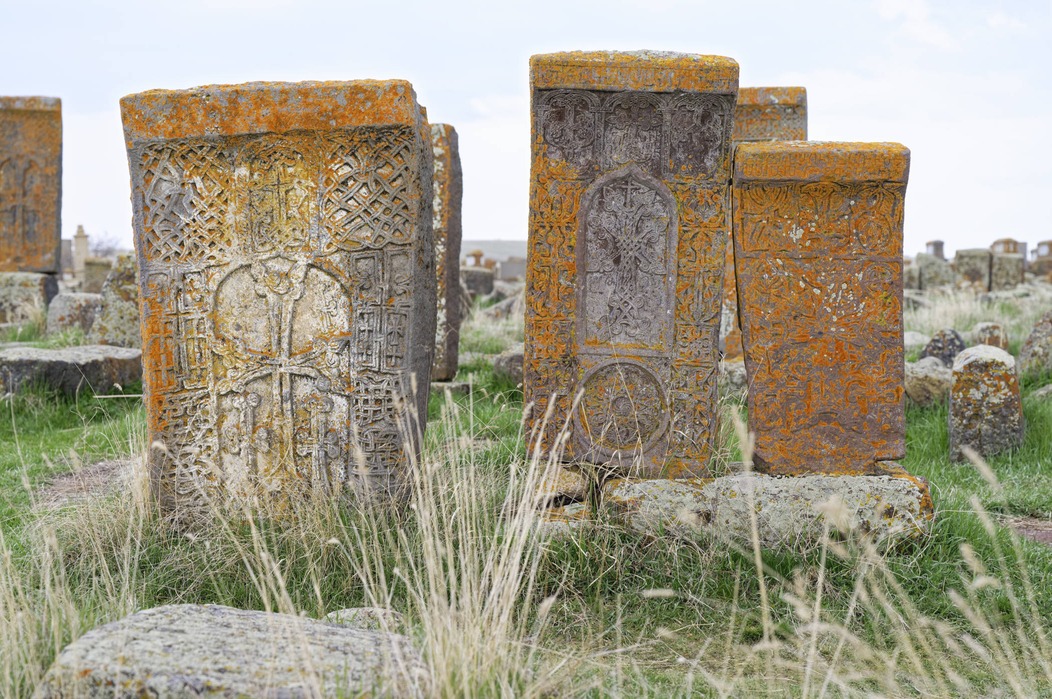 Khachkars dans le cimetière de Noradouz - Sevan
